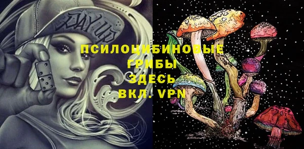 ECSTASY Зеленокумск