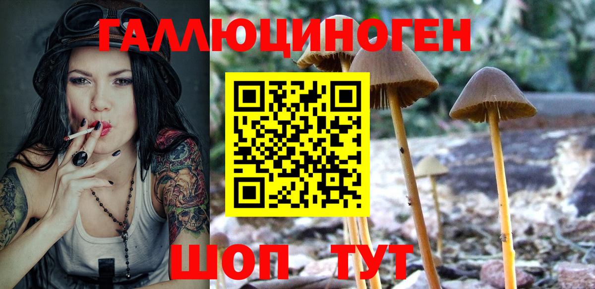 Советск  Псилоцибиновые грибы мицелий  Вход с VPN 